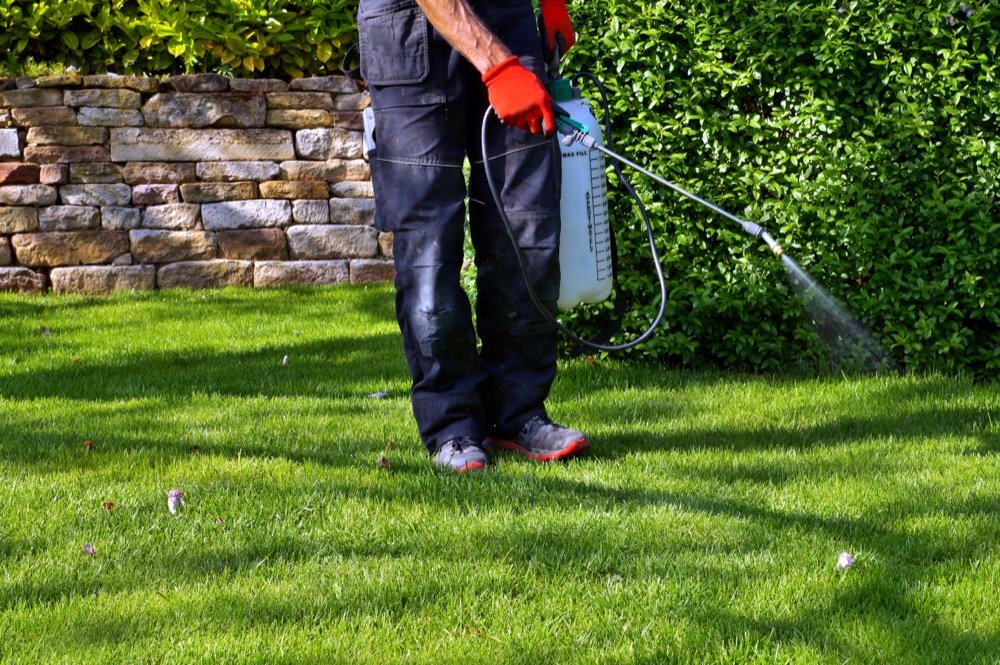 Pest control technician spraying